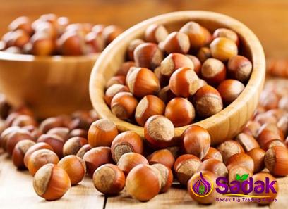 Purchase and today price of fresh picked hazelnuts