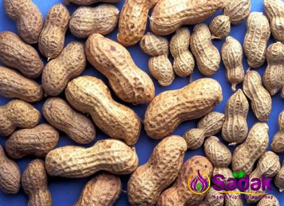 raw peanuts dubai purchase price + preparation method