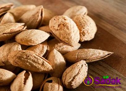 Buy the best types of kashmiri almonds at a cheap price