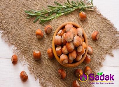 Buy all kinds of empty hazelnut at the best price