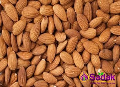 Buy the best types of almond fruit at a cheap price