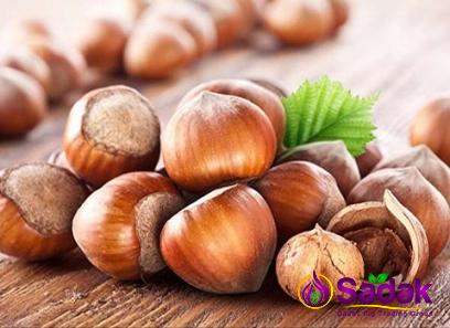 Purchase and price of organic ground hazelnuts types