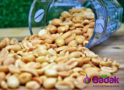 Buy raw peanut chutney types + price