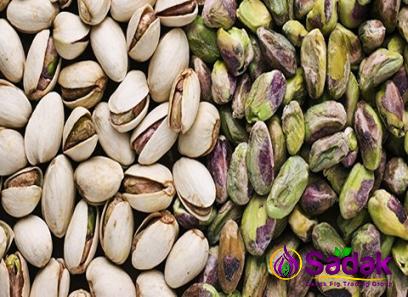 Buy the latest types of bronte pistachio at a reasonable price